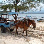 Lokaal vervoer op Lombok